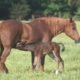 Today at Twin Pines…